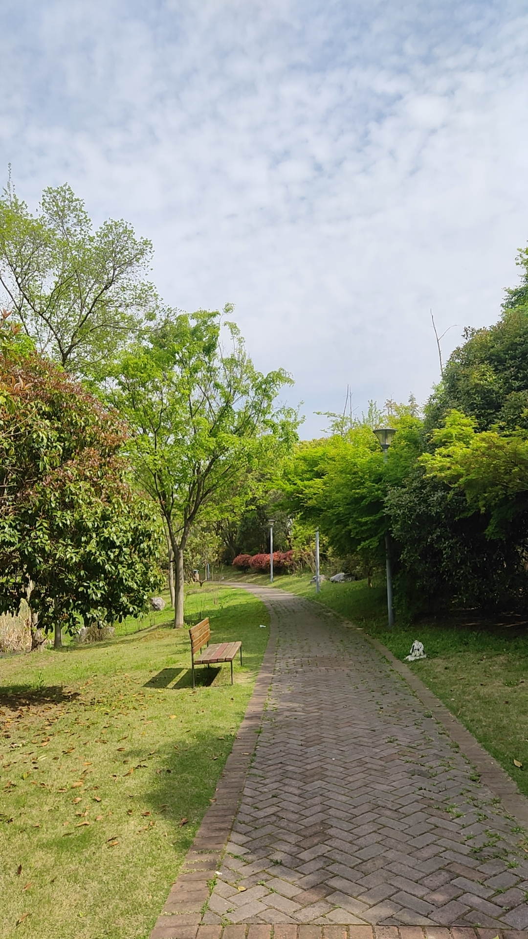 wx_camera_1712731991650.jpg